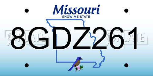 8GDZ261 Missouri License Plate