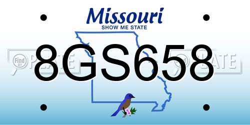 8GS658 Missouri License Plate