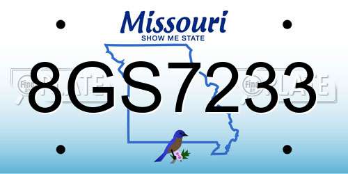 8GS7233 Missouri License Plate