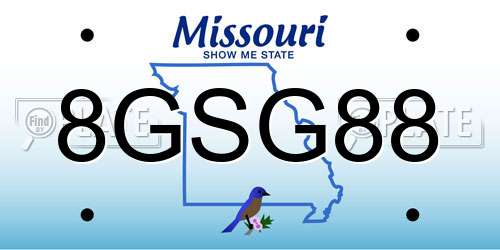 8GSG88 Missouri License Plate