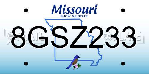 8GSZ233 Missouri License Plate