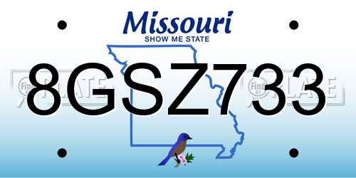 8GSZ733 Missouri License Plate