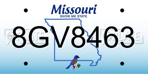 8GV8463 Missouri License Plate