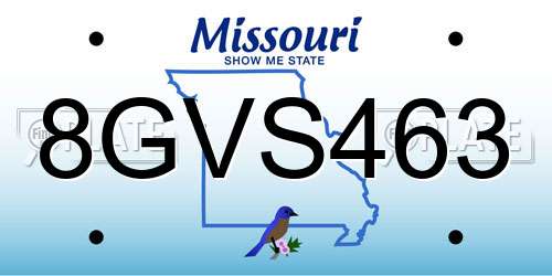 8GVS463 Missouri License Plate
