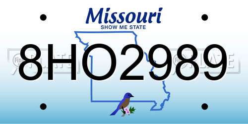 8HO2989 Missouri License Plate