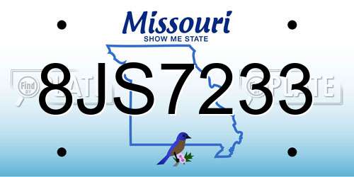 8JS7233 Missouri License Plate