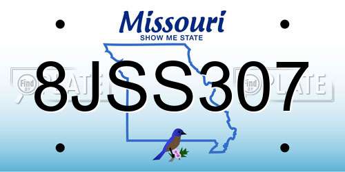 8JSS307 Missouri License Plate