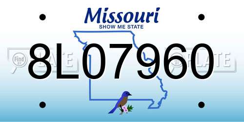 8L07960 Missouri License Plate