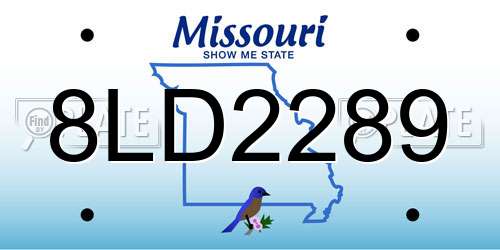 8LD2289 Missouri License Plate