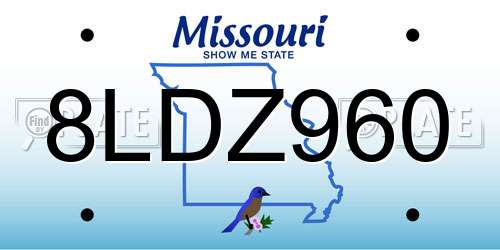 8LDZ960 Missouri License Plate