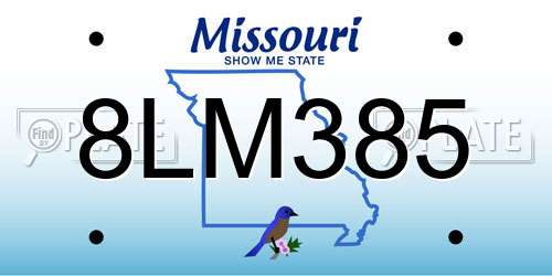 8LM385 Missouri License Plate