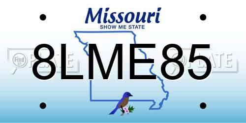 8LME85 Missouri License Plate