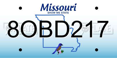 8OBD217 Missouri License Plate