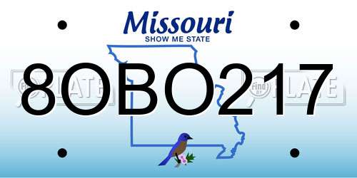 8OBO217 Missouri License Plate