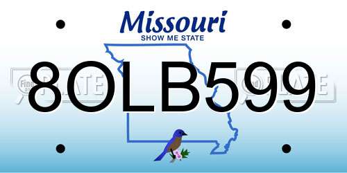 8OLB599 Missouri License Plate