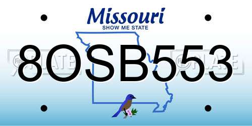 8OSB553 Missouri License Plate