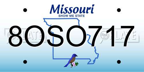 8OSO717 Missouri License Plate