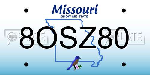 8OSZ80 Missouri License Plate