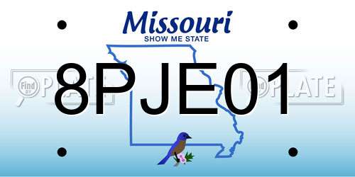 8PJE01 Missouri License Plate