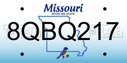 8QBQ217 Missouri License Plate