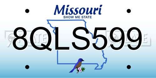 8QLS599 Missouri License Plate