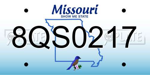 8QS0217 Missouri License Plate