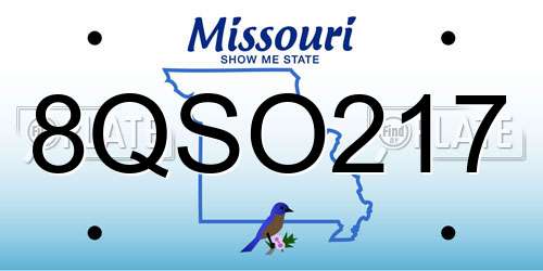 8QSO217 Missouri License Plate
