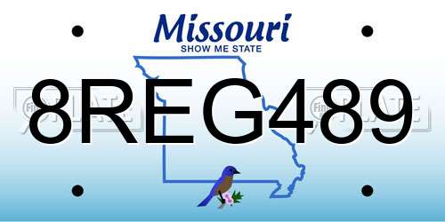 8REG489 Missouri License Plate
