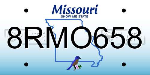 8RMO658 Missouri License Plate