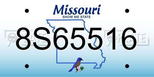8S65516 Missouri License Plate