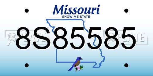 8S85585 Missouri License Plate
