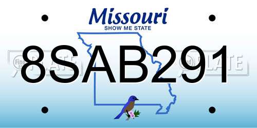 8SAB291 Missouri License Plate
