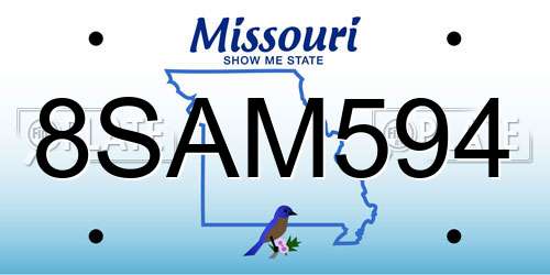 8SAM594 Missouri License Plate