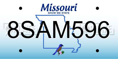 8SAM596 Missouri License Plate