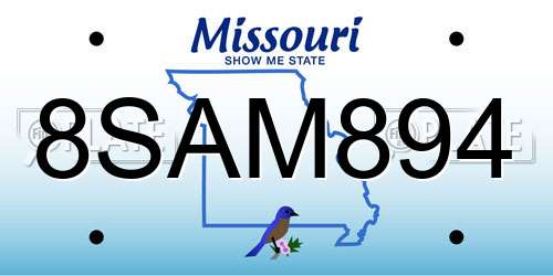 8SAM894 Missouri License Plate