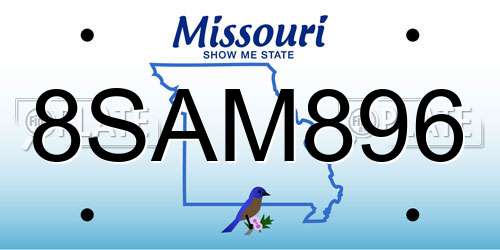 8SAM896 Missouri License Plate