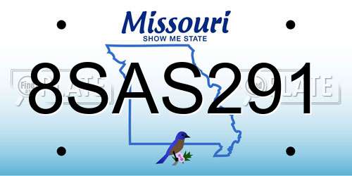 8SAS291 Missouri License Plate