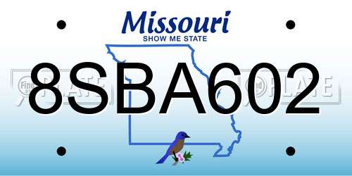 8SBA602 Missouri License Plate
