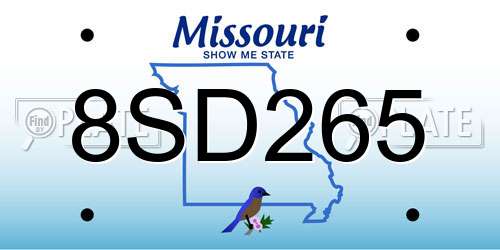 8SD265 Missouri License Plate