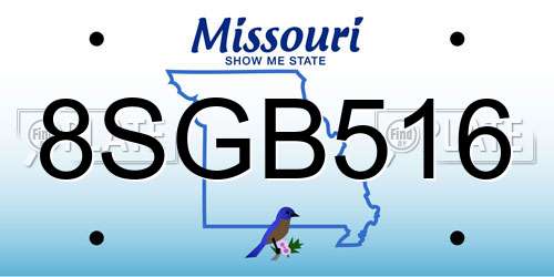 8SGB516 Missouri License Plate