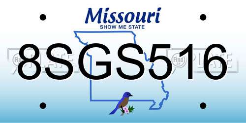8SGS516 Missouri License Plate