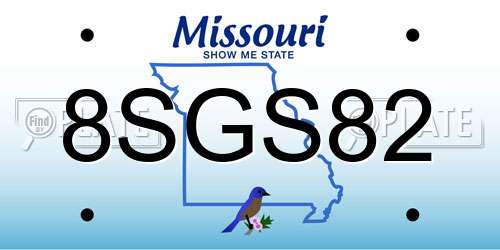8SGS82 Missouri License Plate