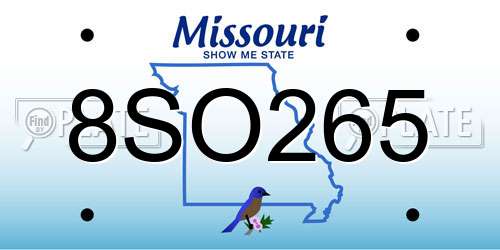 8SO265 Missouri License Plate