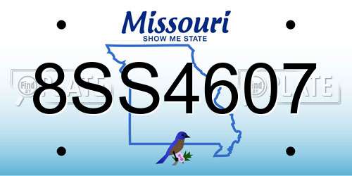 8SS4607 Missouri License Plate