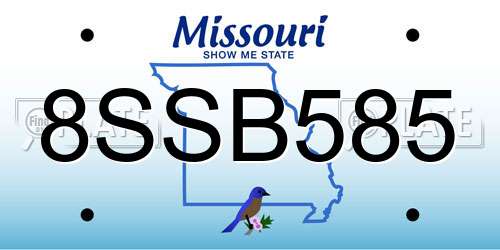 8SSB585 Missouri License Plate