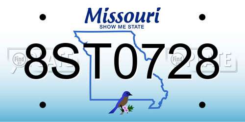 8ST0728 Missouri License Plate