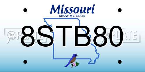 8STB80 Missouri License Plate