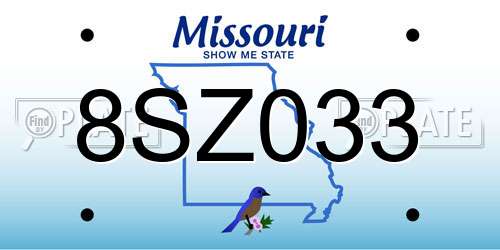 8SZ033 Missouri License Plate