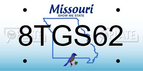 8TGS62 Missouri License Plate