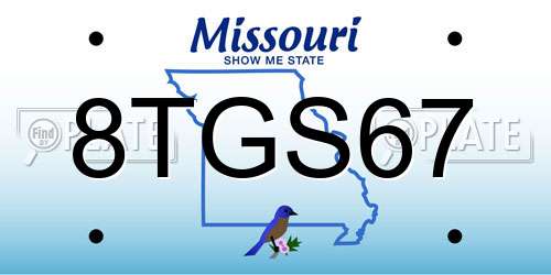 8TGS67 Missouri License Plate